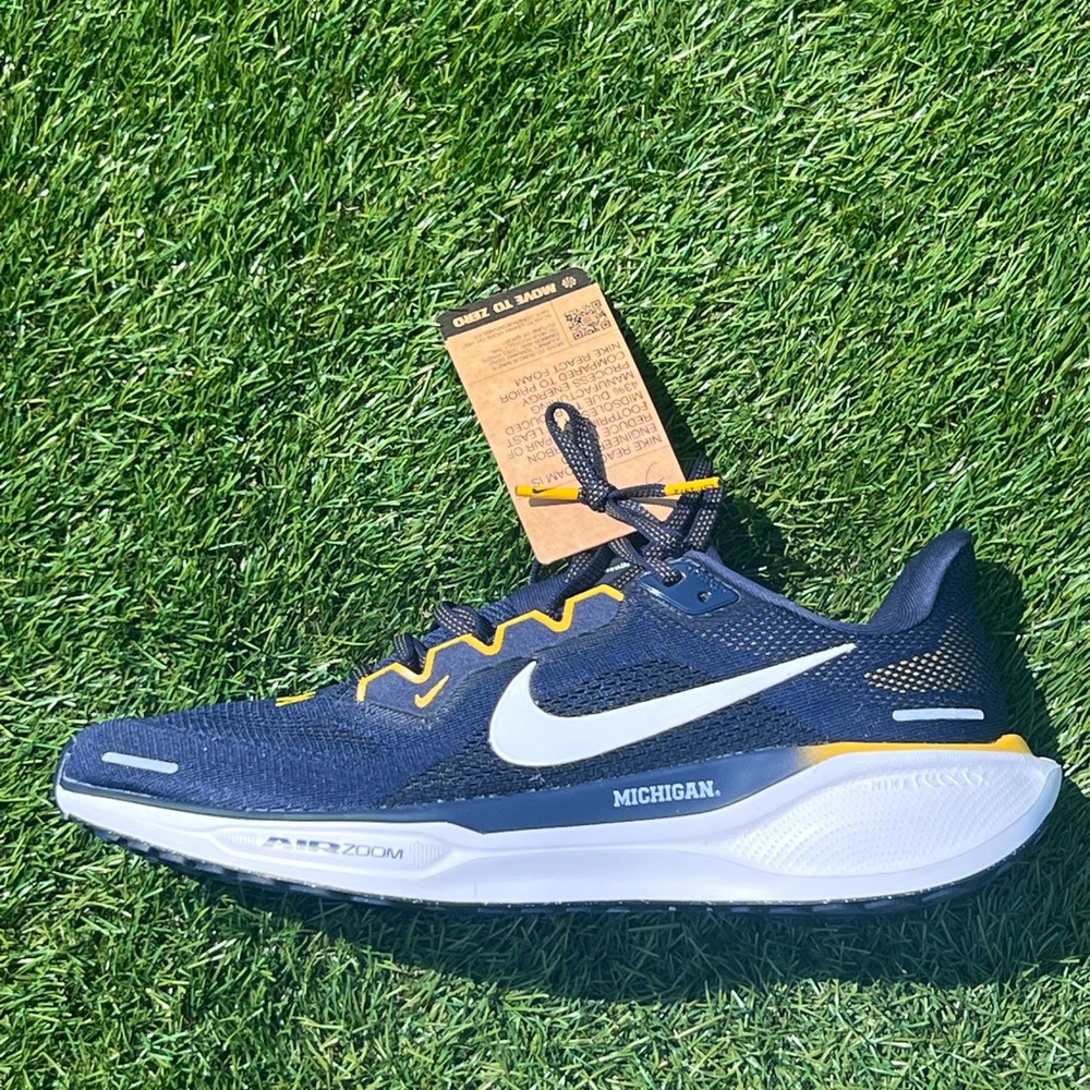 Nike Michigan Pegasus 41 College Road Running Shoes FZ5128-400 Men’s 4-7 No Box